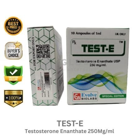 TEST-E